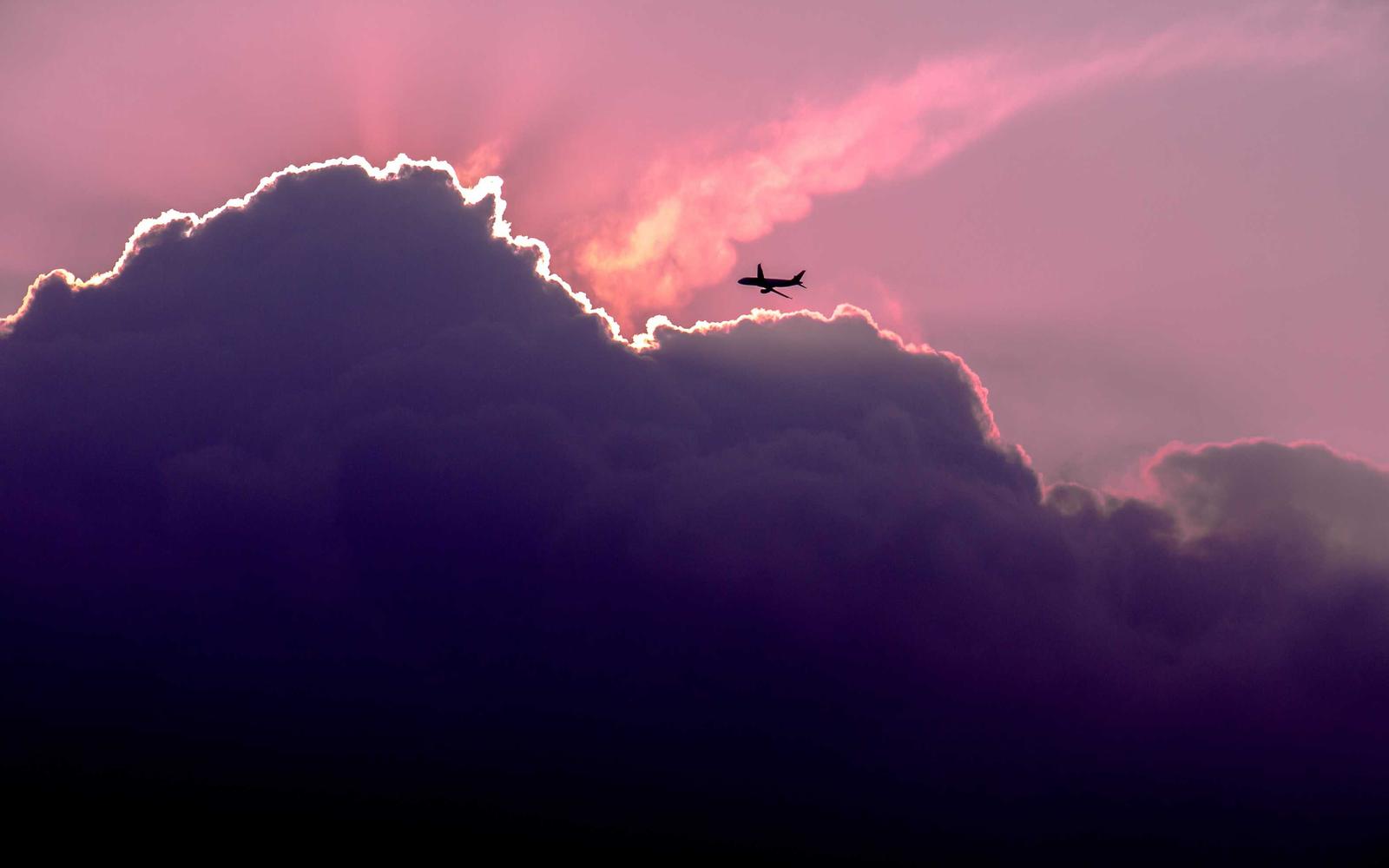 A bank of cloud lit pink at dusk, with a distant aircraft above it