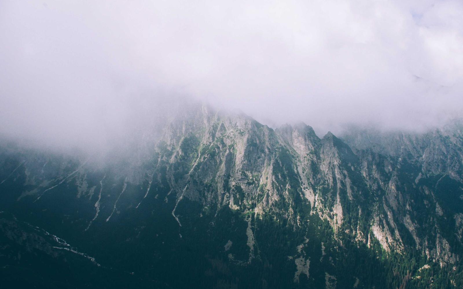 Forested mountain ridges half covered by low cloud